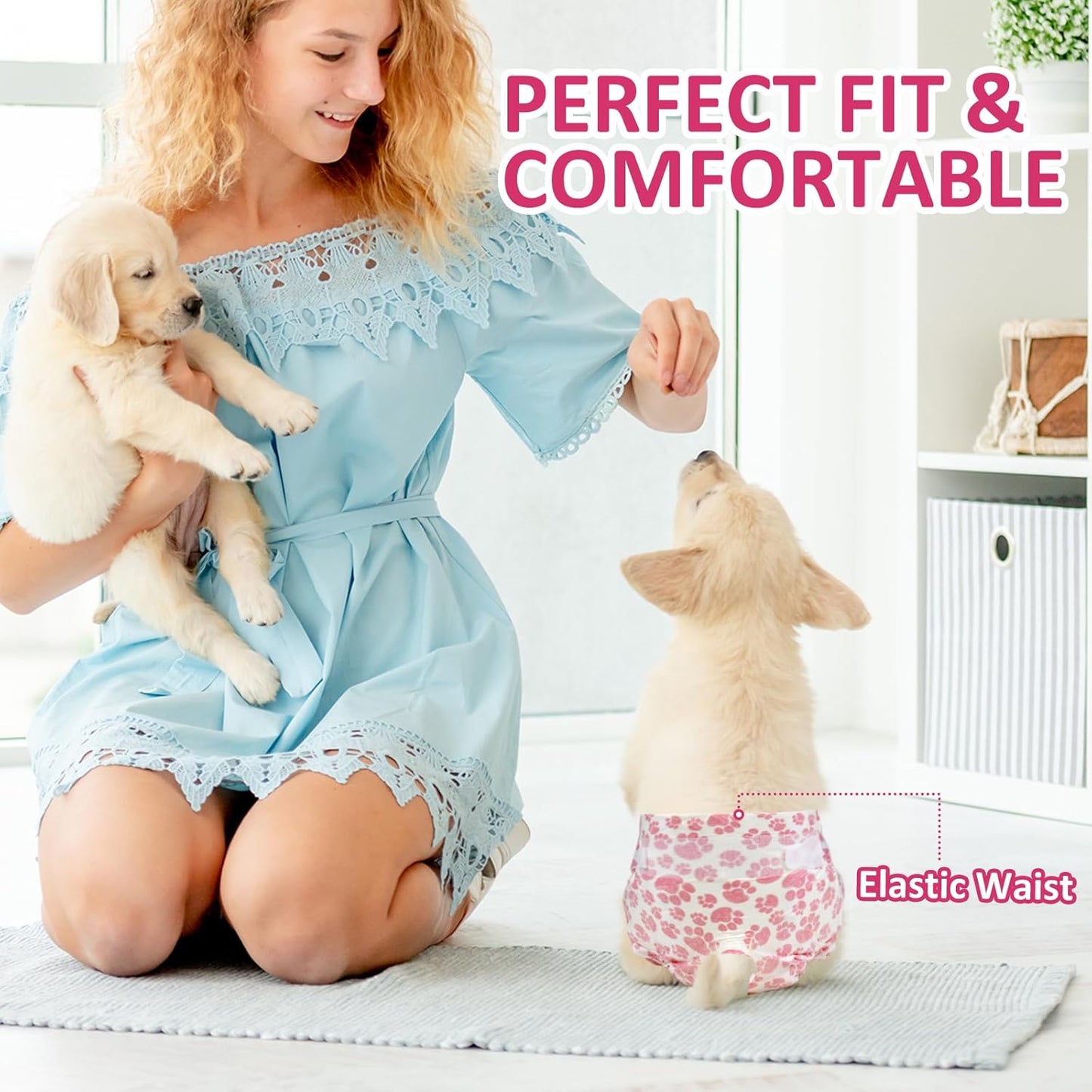 Female Dog Diapers