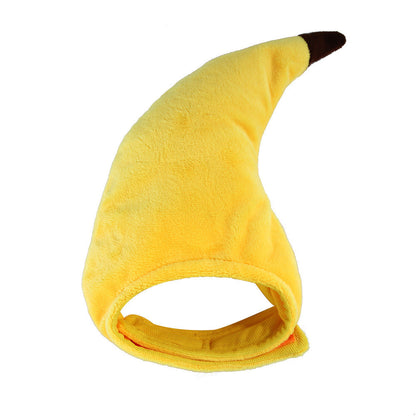 Funny Pet Costume