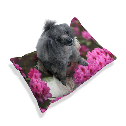 Plush Dog Bed