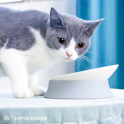 Pet  Drinking Bowl