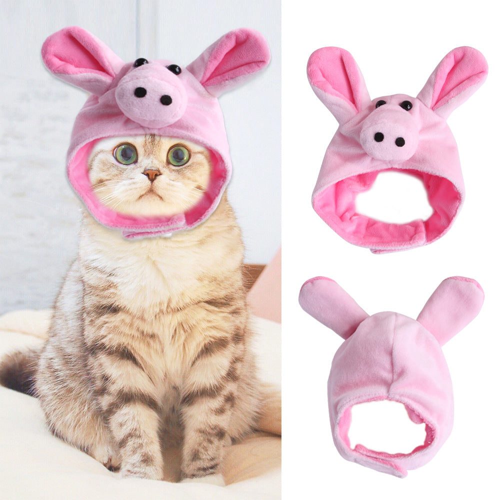 Funny Pet Costume