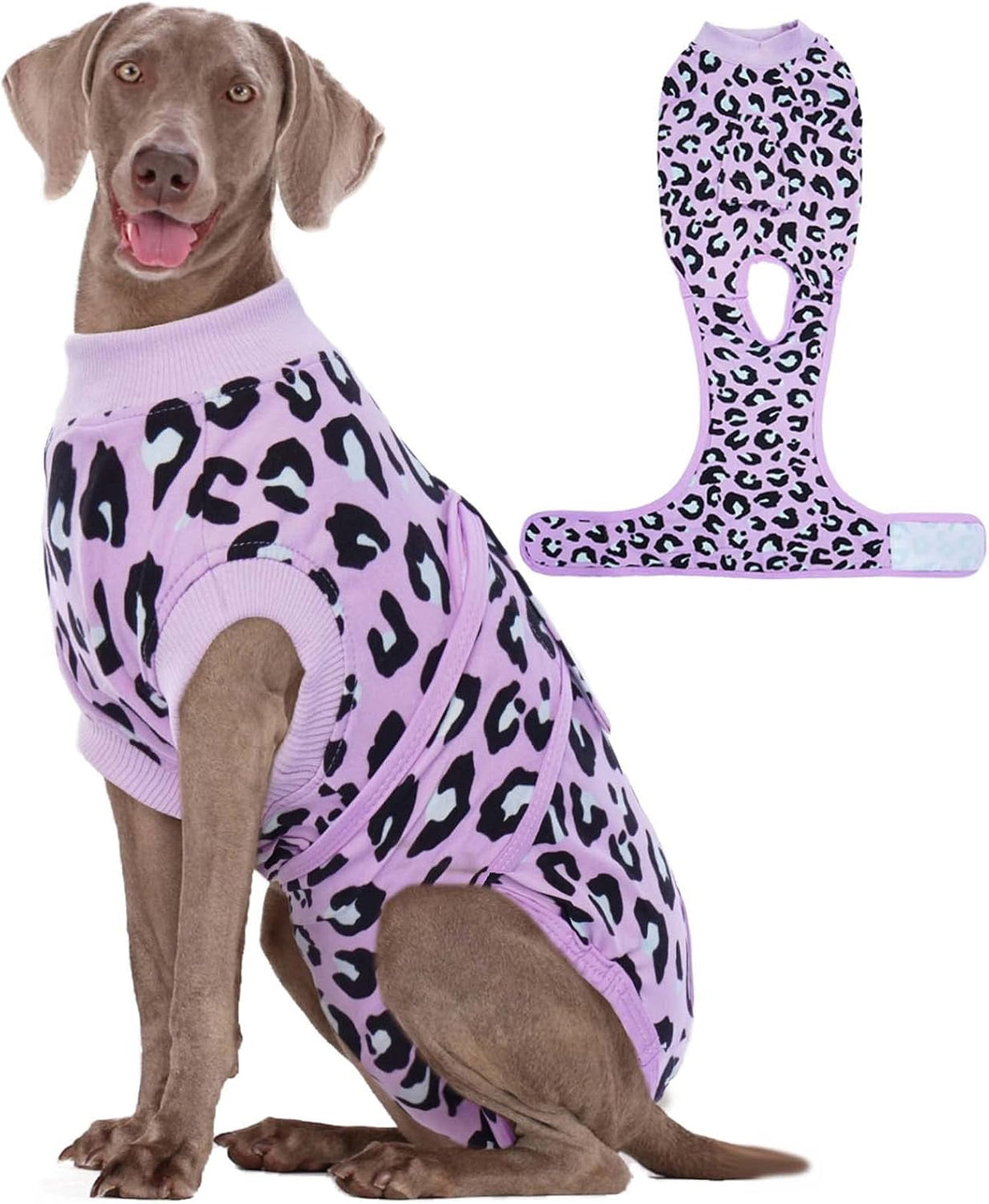 Dog Recovery Suit — Post-Surgery Coverage for Male & Female Dogs, Soft & Stretchy (XS–2XL)