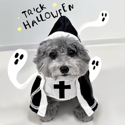 Pet Costume
