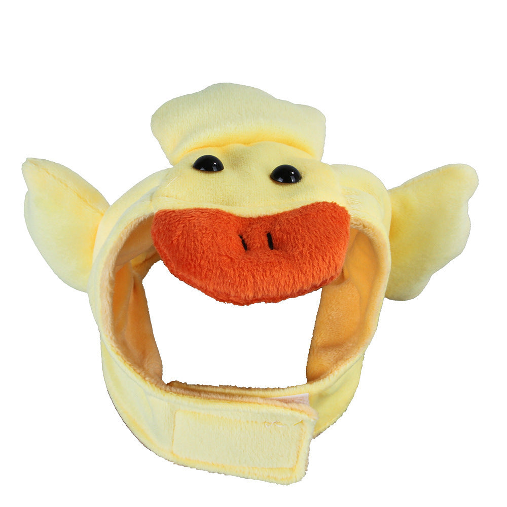 Funny Pet Costume
