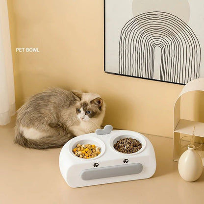 Pet Double Bowl
