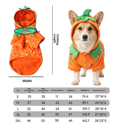 Pet Costume
