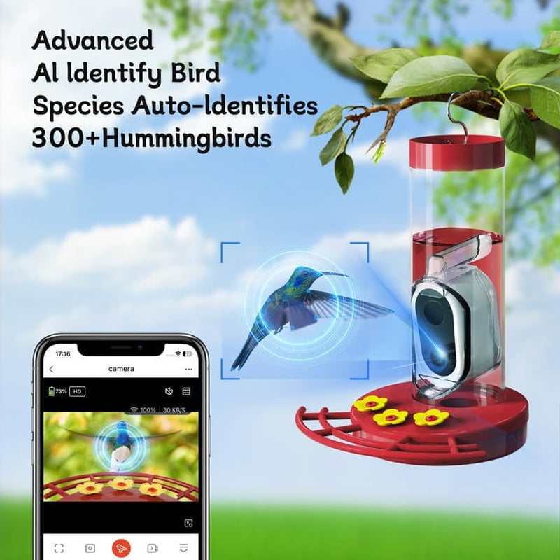 Hummingbird Feeder Camera