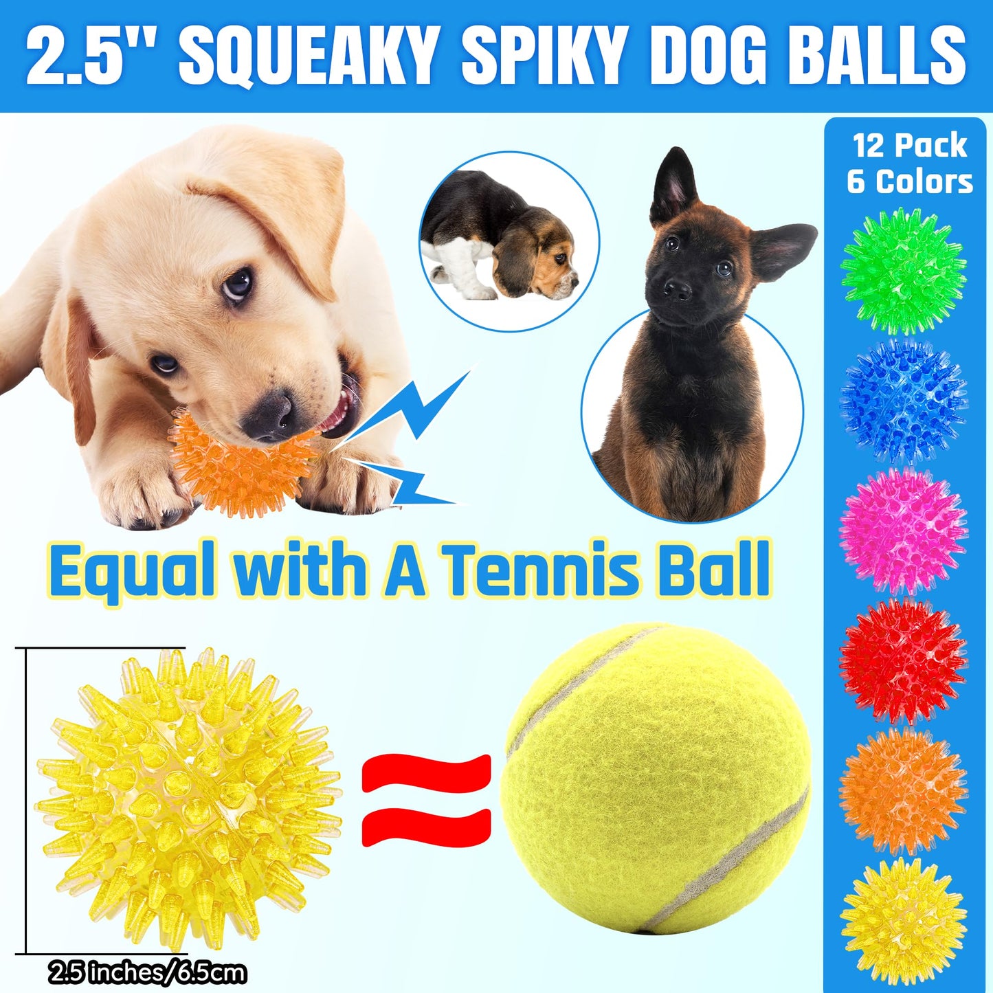 Squeaky Dog Balls