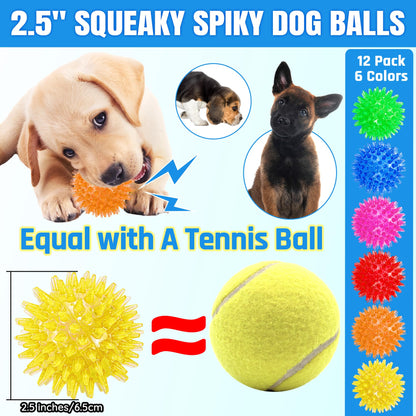 Squeaky Dog Balls