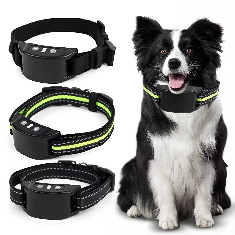 Dog Collar Trainer
