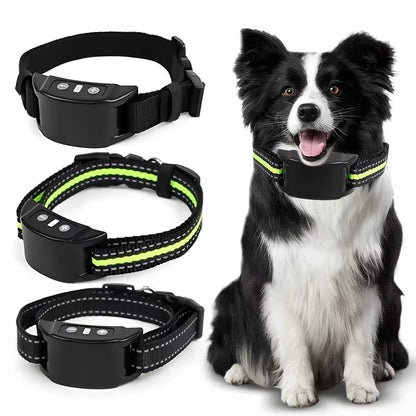 Dog Collar Trainer