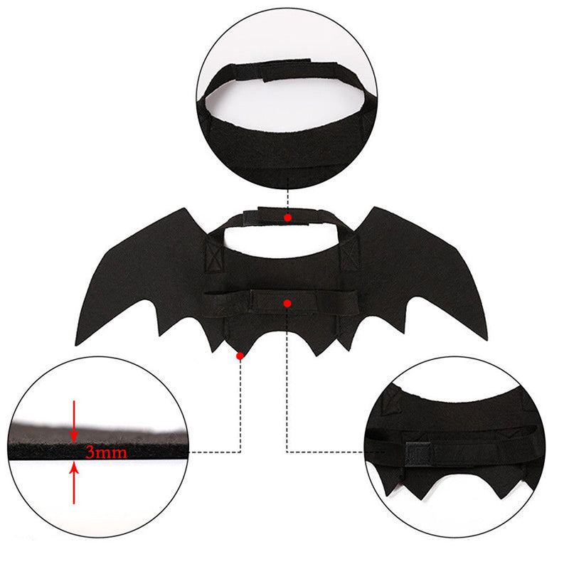 Bat Cat Wings