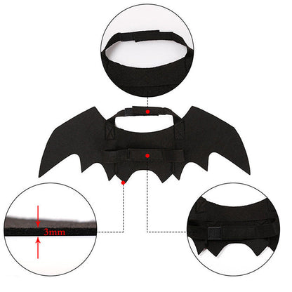 Bat Cat Wings