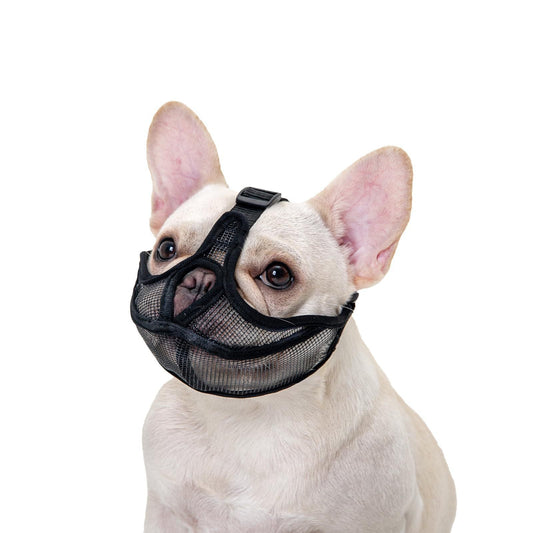 Short-Snouted Pug Face Mask