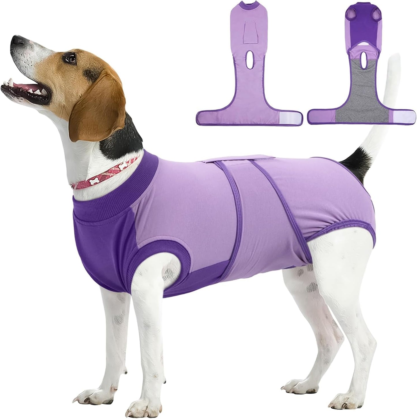 Female Dog Recovery Suit — Post-Spay & Surgery Coverage, Soft & Breathable (XS–2XL)