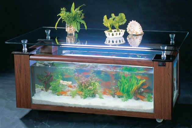 Aquarium Fish Tank