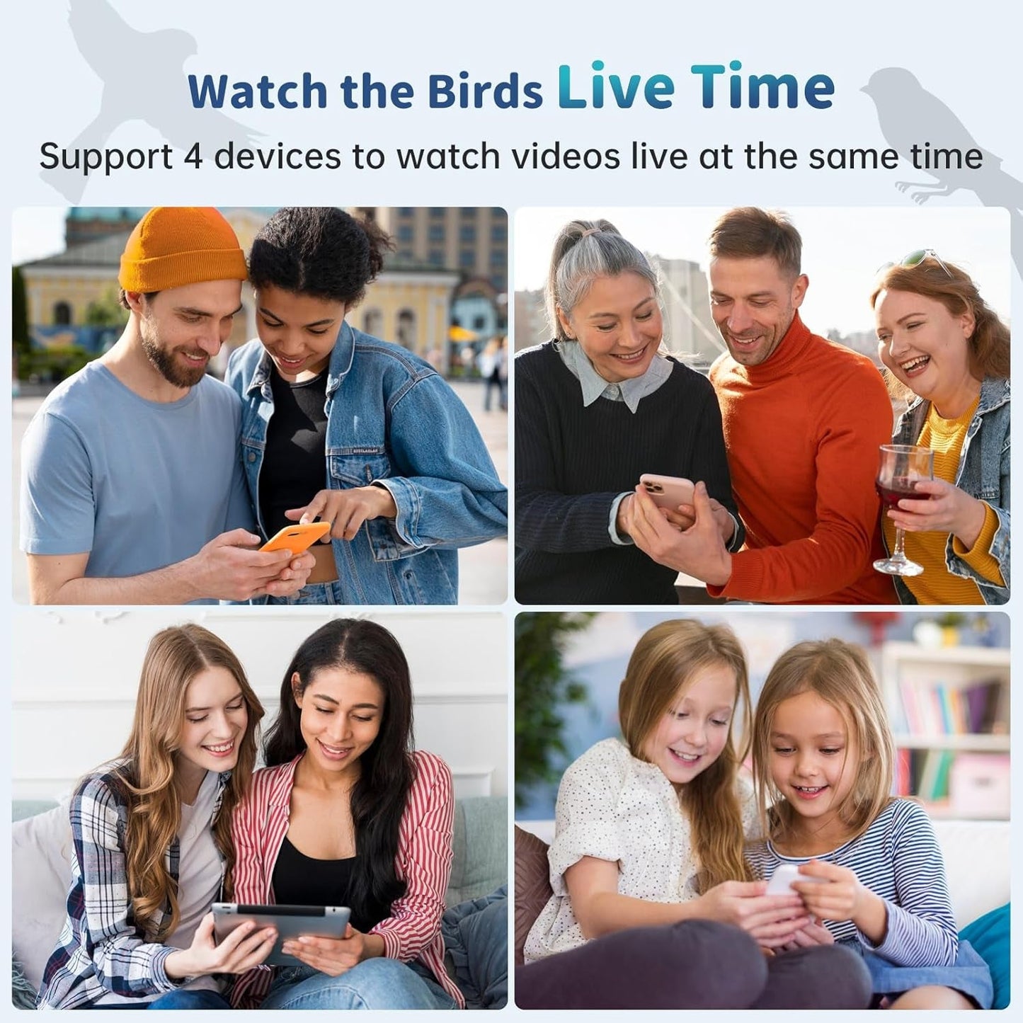 Bird Feeder Camera