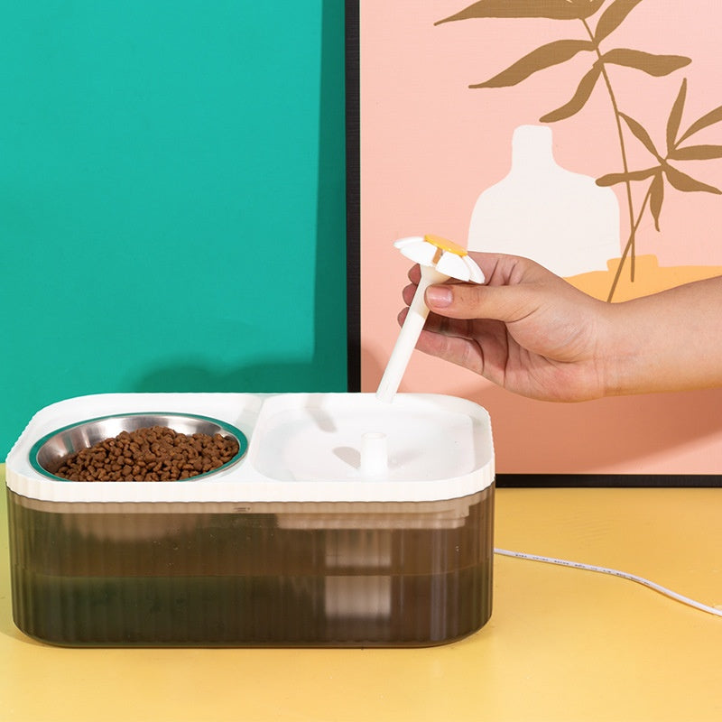 Automatic Water Dispenser
