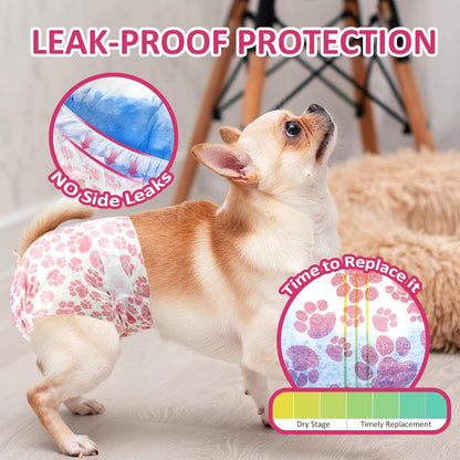 Female Dog Diapers