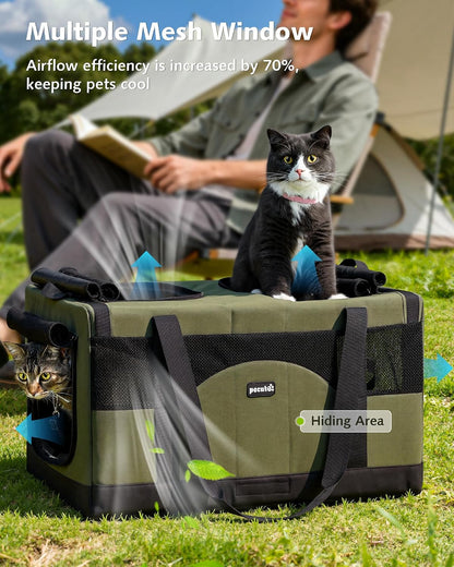 Double Cat Carrier