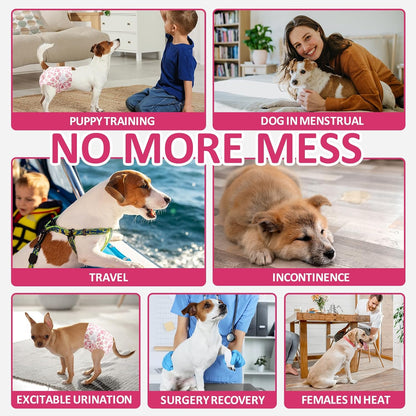 Female Dog Diapers