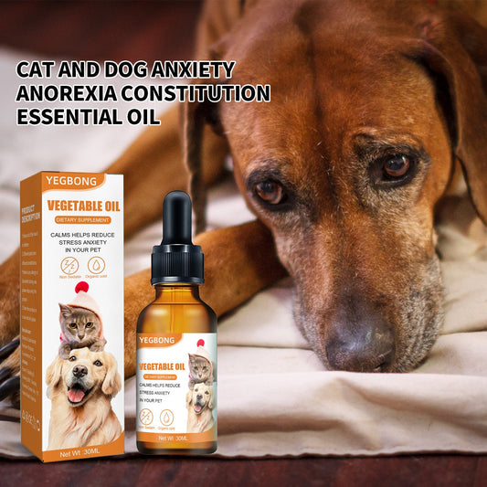 Cat And Dog Diet Care