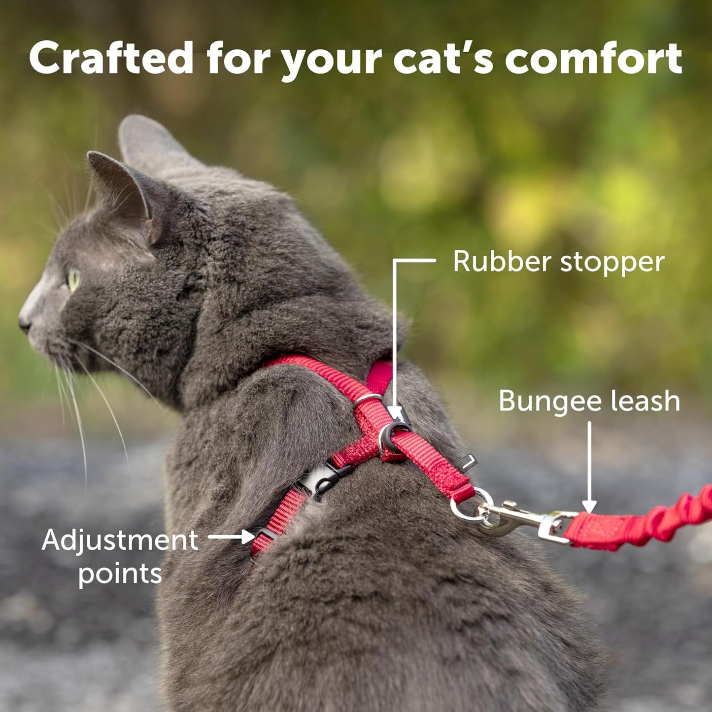 Cat Harness & Bungee Leash