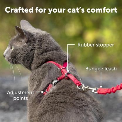 Cat Harness & Bungee Leash