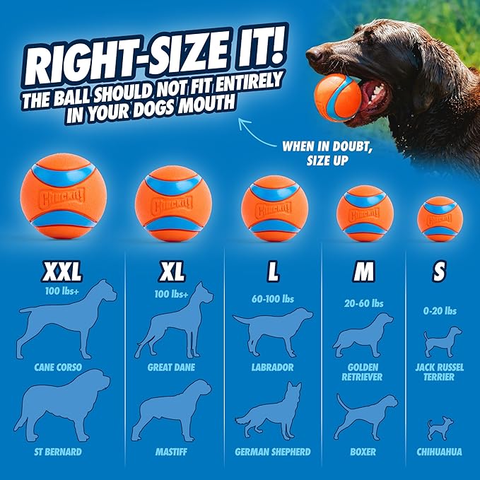 Dog Ultra Ball