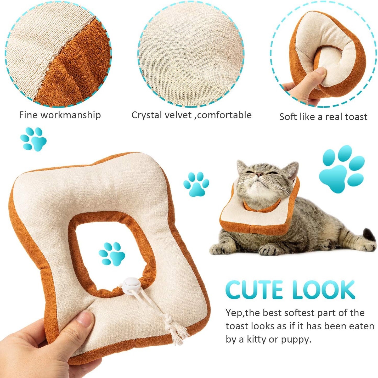 Cat Recovery Collar Cone