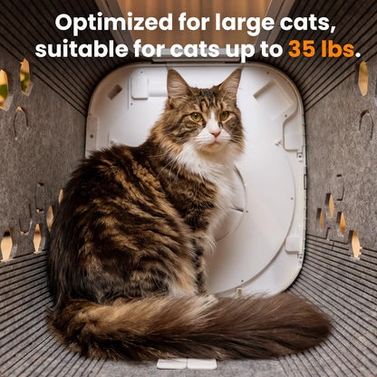 Cat Self Groomer