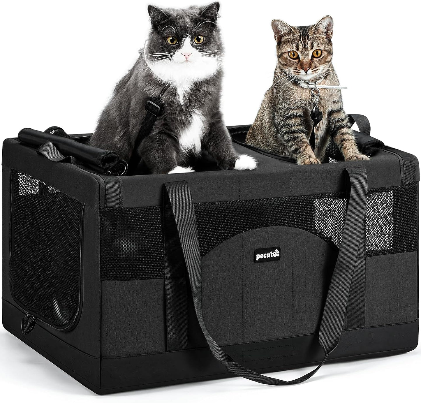 Double Cat Carrier