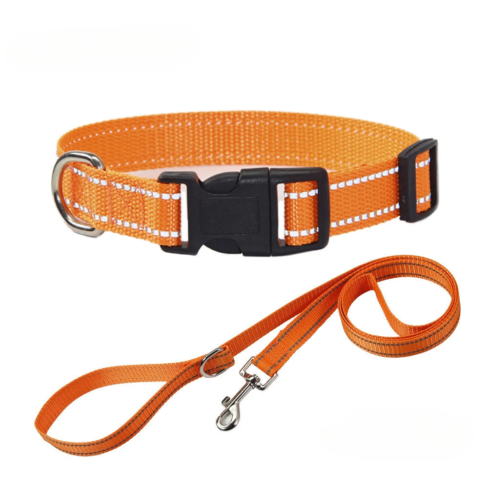 Nylon Dog Collar and Leash Set