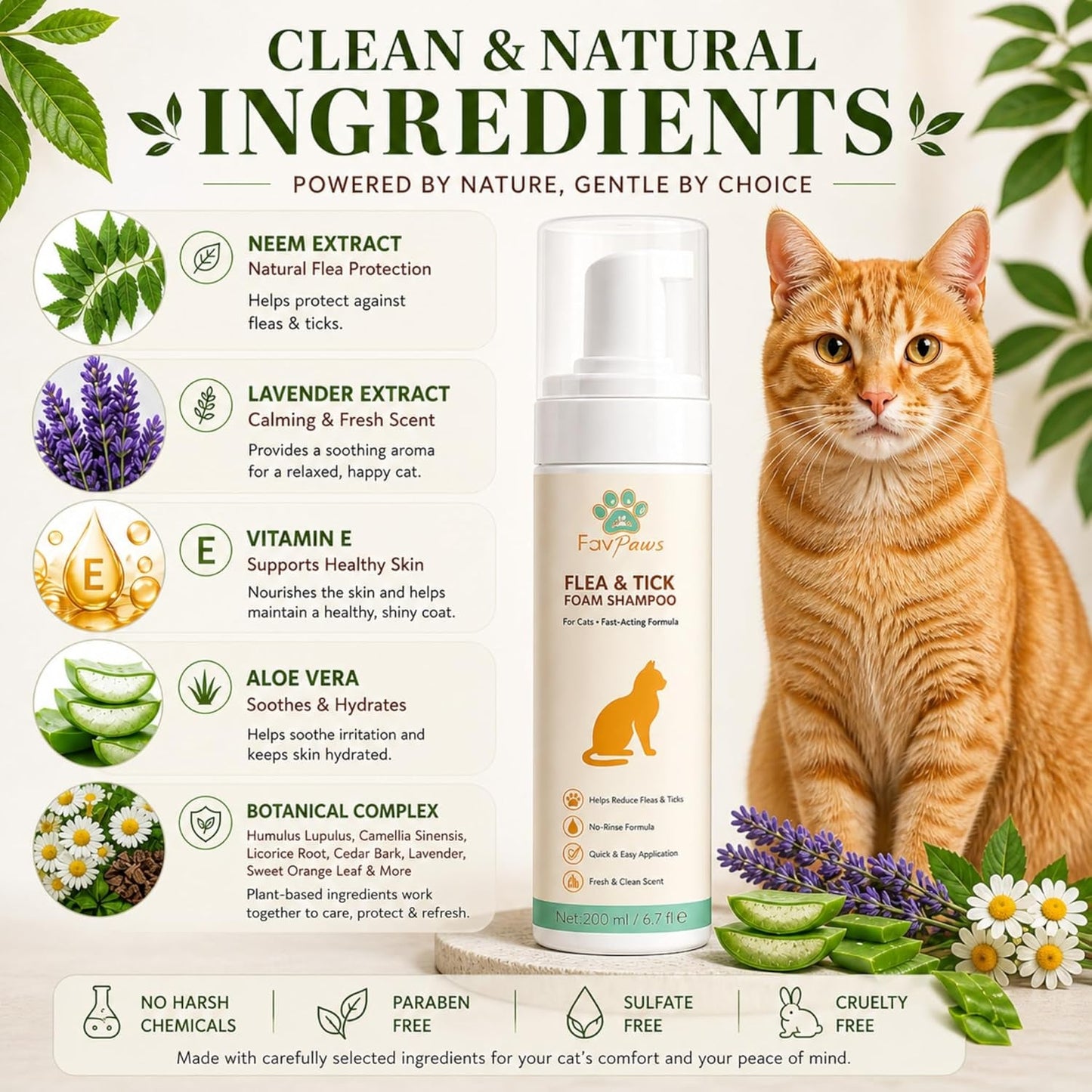 Cat Grooming Kit