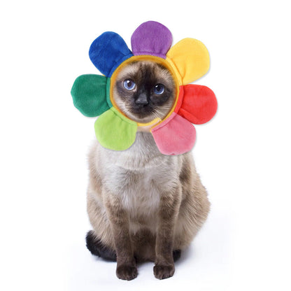 Funny Pet Costume