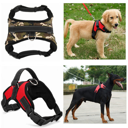 Medium and Large Dog Dog Collar