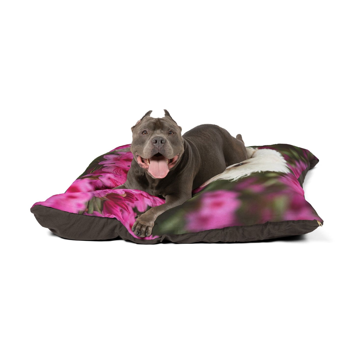 Plush Dog Bed