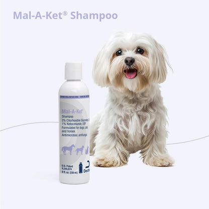 Shampoo for Dogs Cats