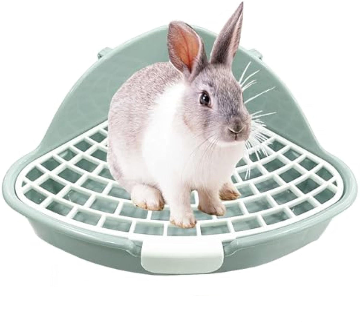 Rabbit Litter Box