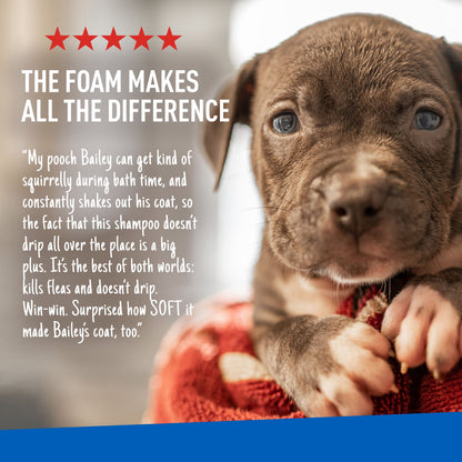 Flea & Tick Foaming Shampoo