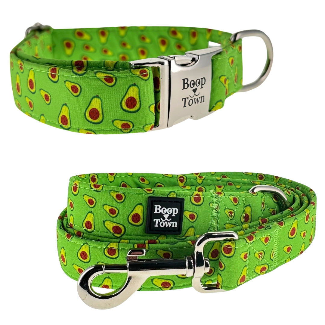 Dog Collar and Leash Set