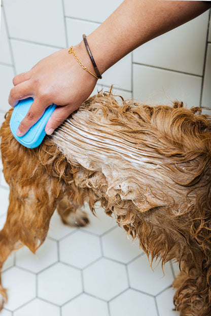 Dog Shampoo & Conditioner Duo