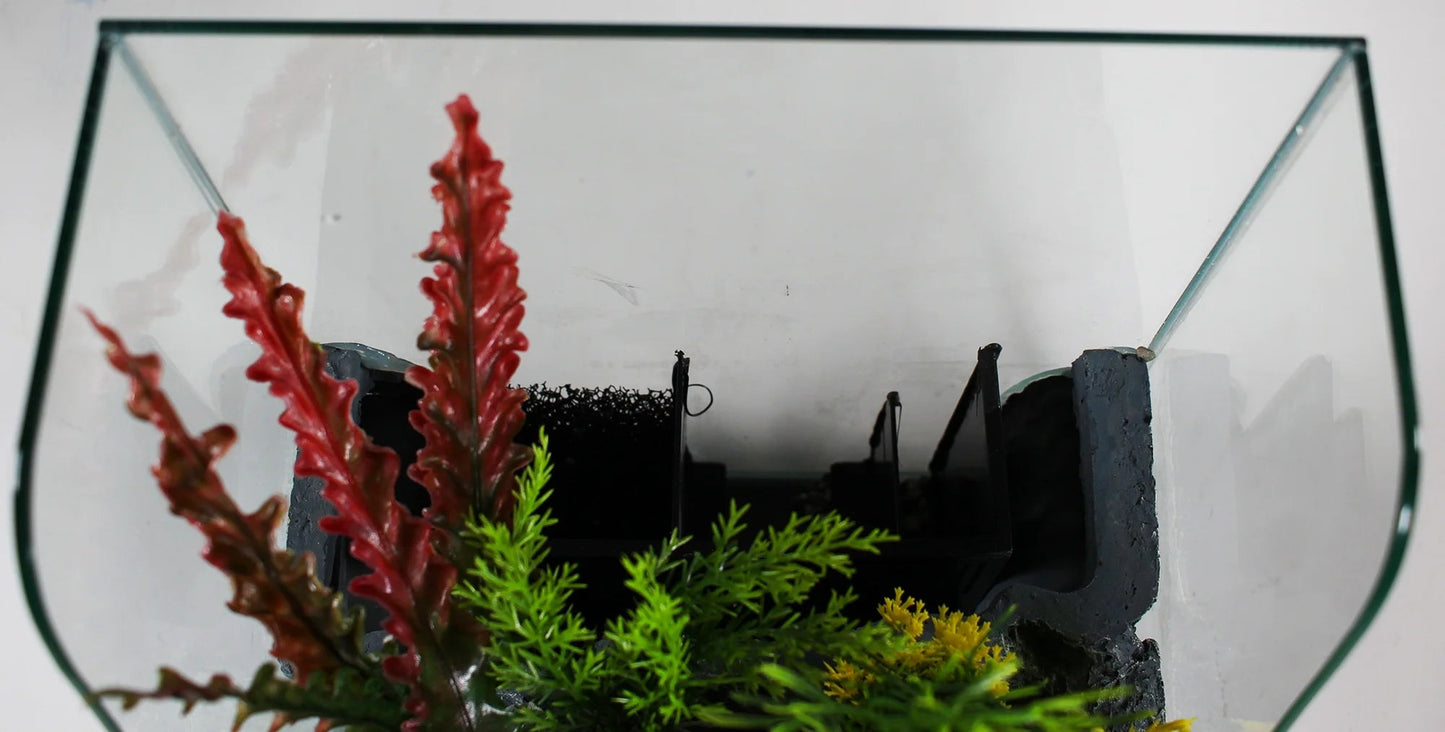 Glass Aquarium