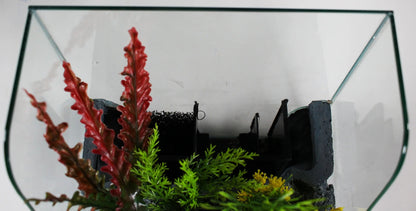 Glass Aquarium