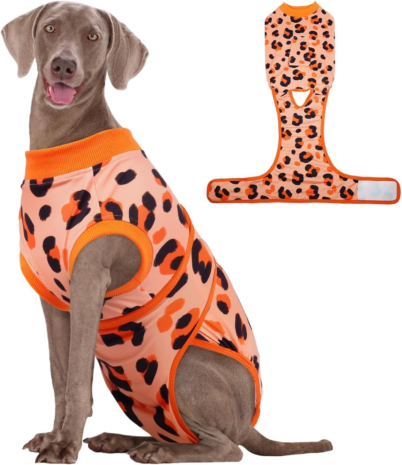 Dog Recovery Suit — Post-Surgery Coverage for Male & Female Dogs, Soft & Stretchy (XS–2XL)