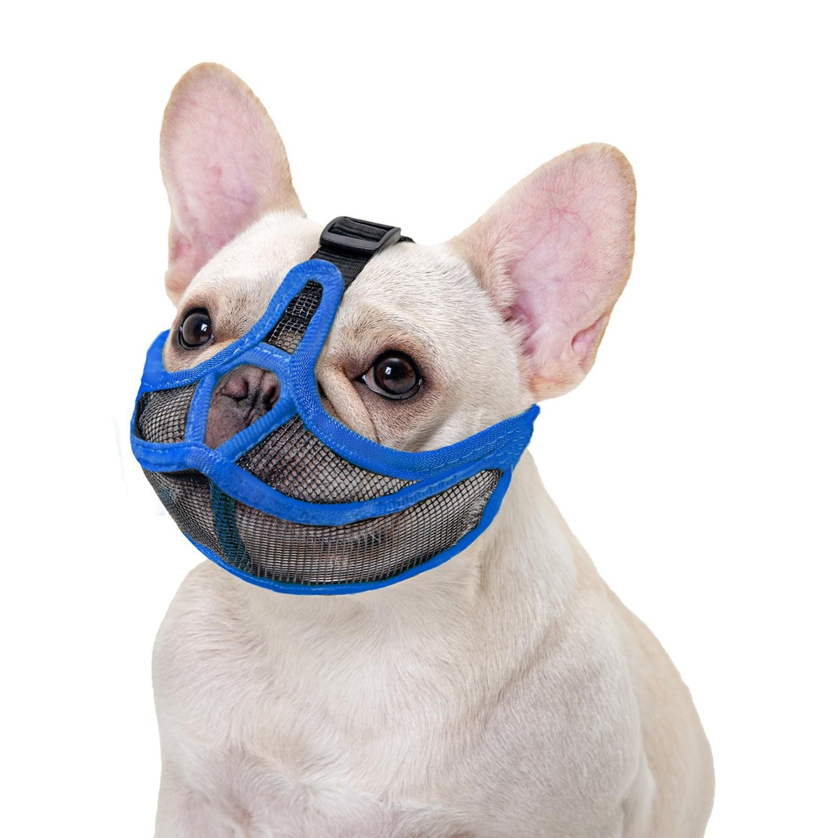Short-Snouted Pug Face Mask