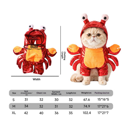 Pet Costume
