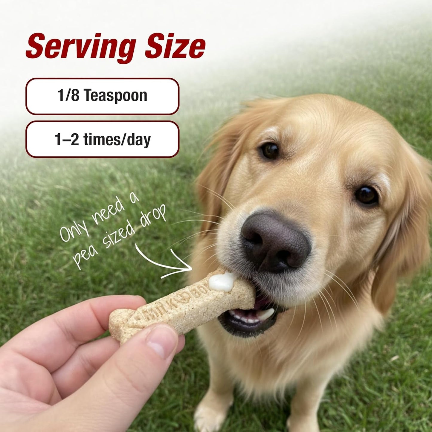Pet Pain Relief