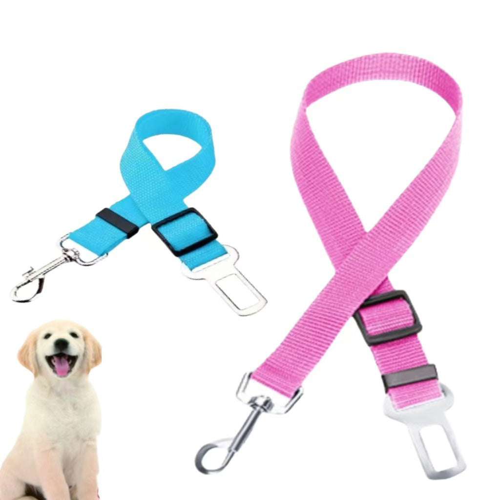 Seat Belt Harness