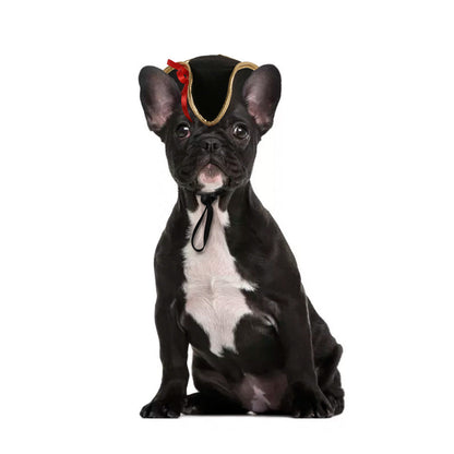 Funny Pet Costume